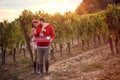 Family tradition Ã¢â¬â Young couple celebrating harvesting grapes Royalty Free Stock Photo